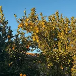 Local Vale Dos Vascos Villa Alvaro