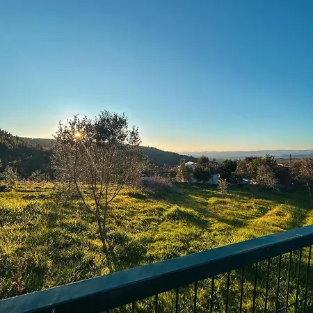 Local Vale Dos Vascos Alvaro