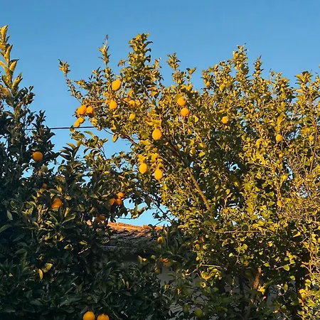 Villa Local Vale Dos Vascos